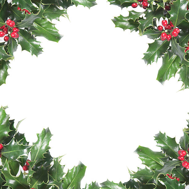 Christmas holly wreath bordered paper stock photo