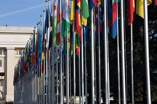 istock Flags of United Nations 173542132