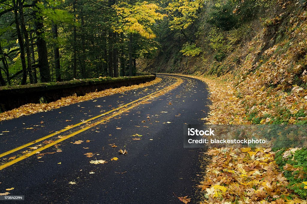 Road, mit gefallenen Herbst Blätter - Lizenzfrei Baum Stock-Foto