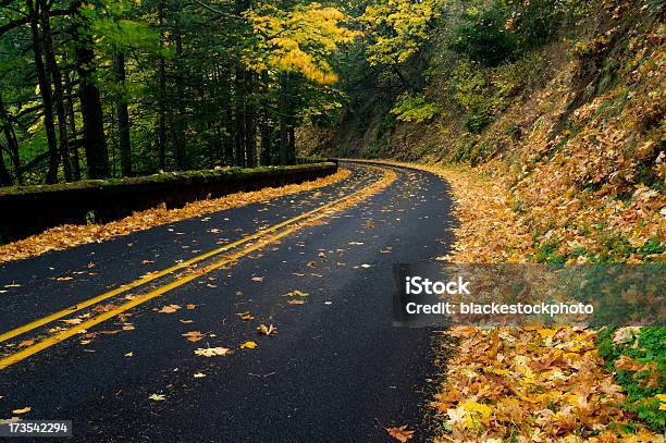 Road Mit Gefallenen Herbst Blätter Stockfoto und mehr Bilder von Baum - Baum, Baumbestand, Biegung