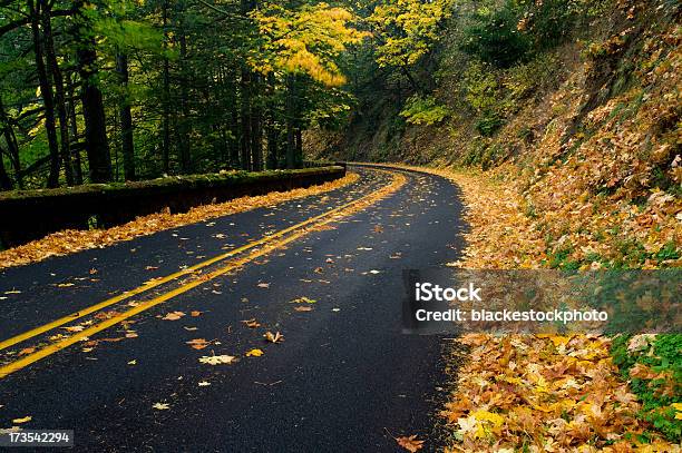 Strada Coperta Di Foglie Dautunno Caduto - Fotografie stock e altre immagini di Albero - Albero, Ambientazione esterna, Ambientazione tranquilla