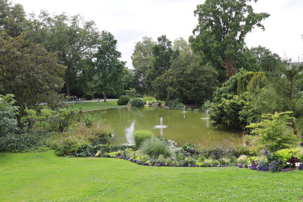 istock Angers - Plants garden 1735426153
