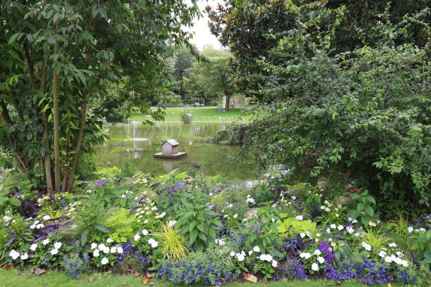 istock Angers - Plants garden 1735426155
