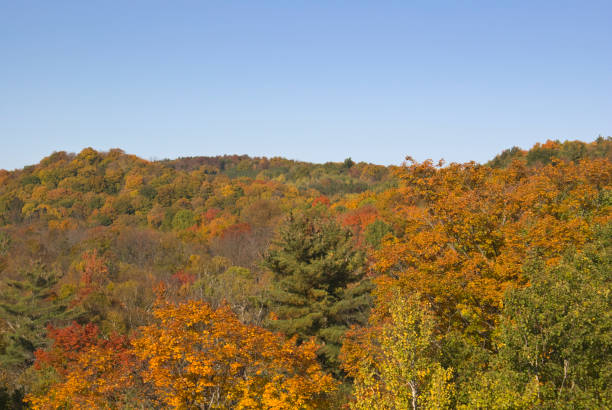 istock autumn view of the valley 173542661