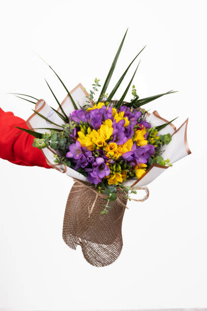 istock yellow and purple freesia 1735426685