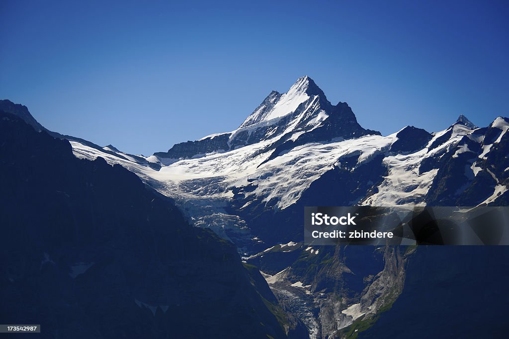 Гриндельвальде Glacier - Стоковые фото 2000-2009 роялти-фри