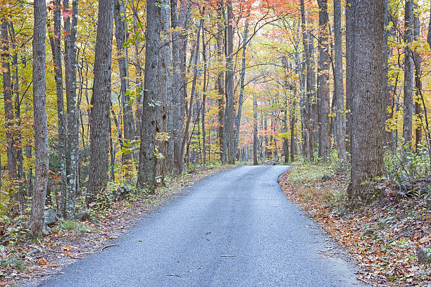 дымчатый горы осенью дорог series (xxl - gatlinburg road winding road tennessee стоковые фото и изображения