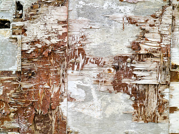 istock Damaged building detail 173543067