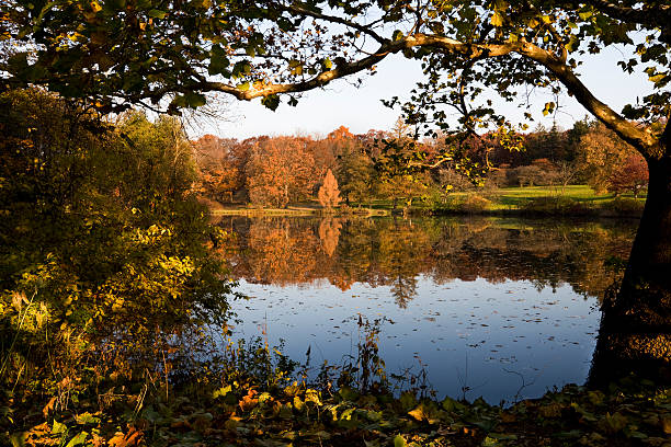istock Autumn Woodland Lake 173543074