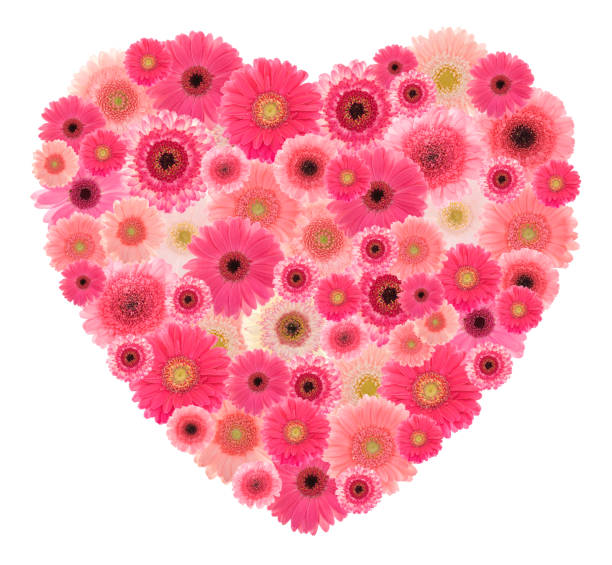 istock Pink heart made out of Gerberas 173543176