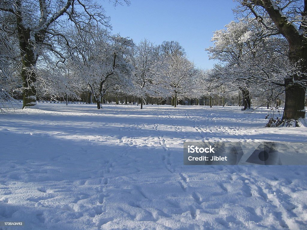 Neve Inglaterra - Foto de stock de Inverno royalty-free