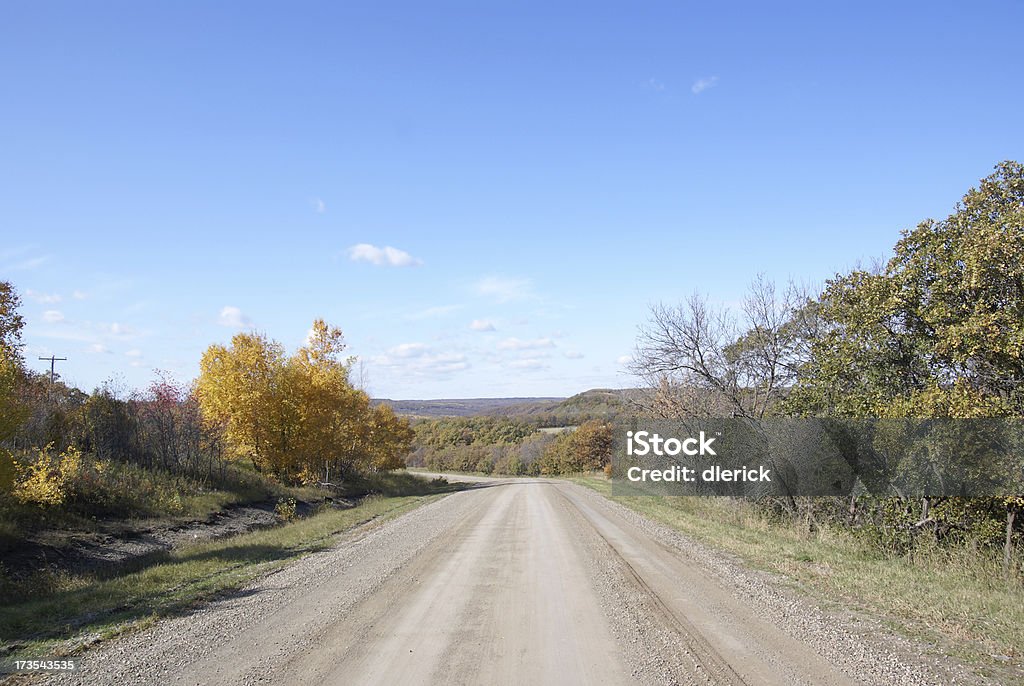 Camino a través de los árboles de otoño - Foto de stock de Aire libre libre de derechos