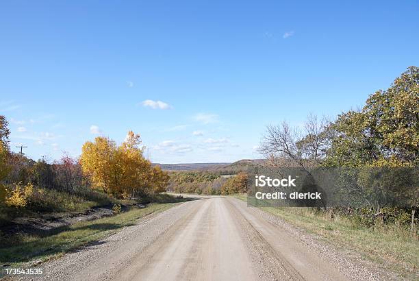Estrada Através De Árvores De Outono - Fotografias de stock e mais imagens de Amarelo - Amarelo, Ao Ar Livre, Azul