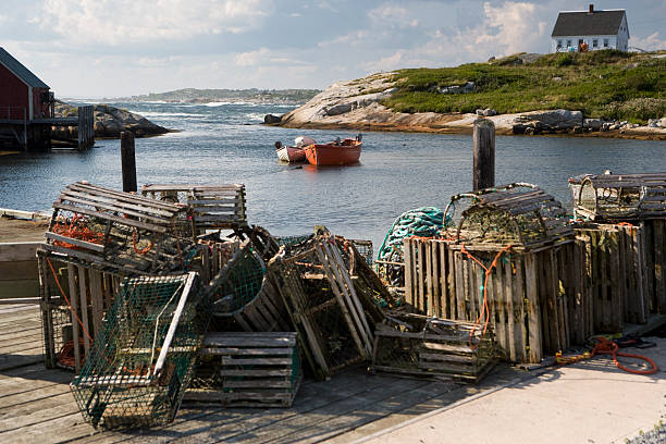 istock Pile of lobster traps on a dock 173543822