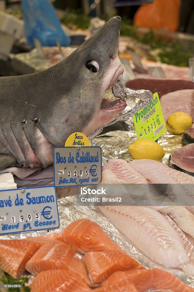 Tiburón - Foto de stock de Tiburón libre de derechos