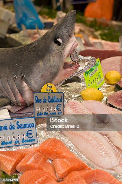 Tiburón Foto de stock y más banco de imágenes de Tiburón - Tiburón, Industria de la pesca, Mercado de pescado