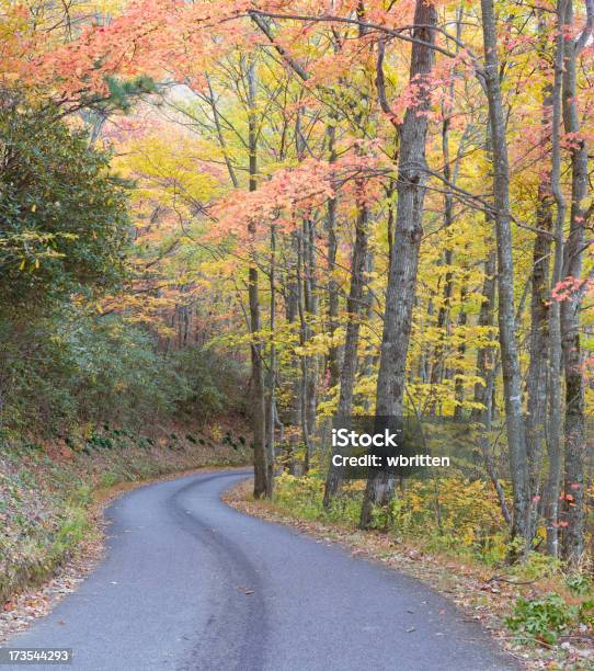 Photo libre de droit de Smoky Mountain Automne Routes Série Xxl banque d'images et plus d'images libres de droit de Arbre - Arbre, Automne, Beauté de la nature