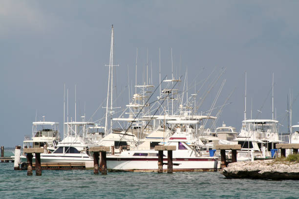 istock Marina in the Caribbean Sea 173544486