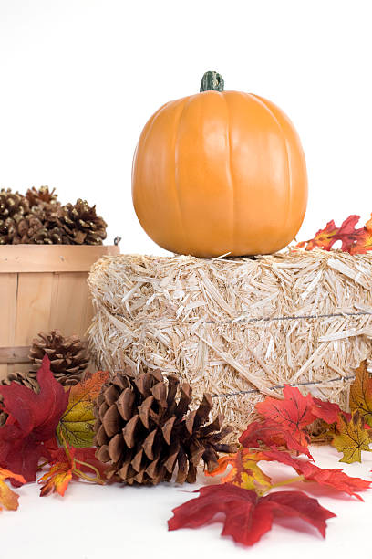 istock Bale of Hay with Fall Pine Cones, Leaves, and Pumpkin 173544705