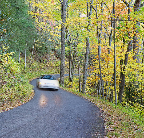 istock Smoky Mountain Autumn Roads Series (XXL) 173544762