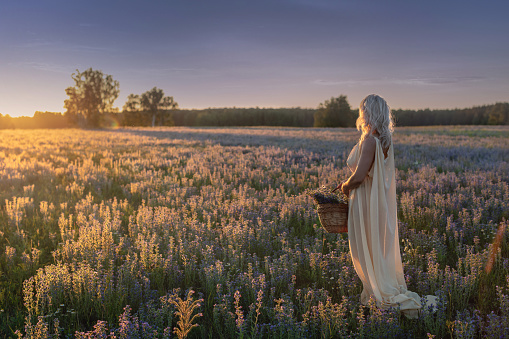 Beautiful woman in white long dress stands in meadow with a wicker basket with herbs at sunset, back view, selective focus. Priestess, paganism, religion, witch, herbalist, fairy tale, magic concept