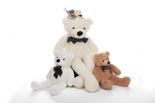 Three teddy bears on white background