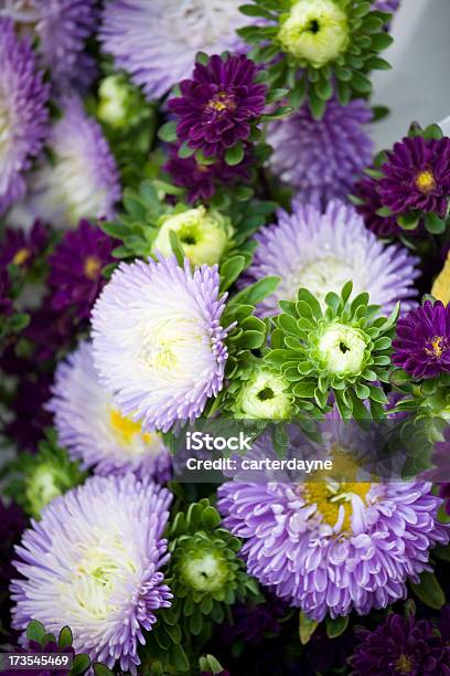 Bonito Flores Frescas Em Um Mercado Ao Ar Livre - Fotografias de stock e mais imagens de Ao Ar Livre - Ao Ar Livre, Arranjo de flores, Bouquet