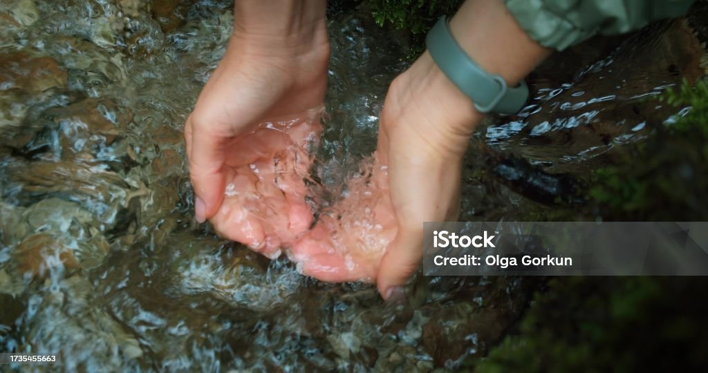 Female hands draw water from the fast river into the palms. World water day concept. Woman's hands draw water from the fast river into the palms. World water day concept. Unity with Nature. Adult Stock Photo