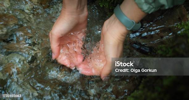 Female Hands Draw Water From The Fast River Into The Palms World Water Day Concept Stock Photo - Download Image Now