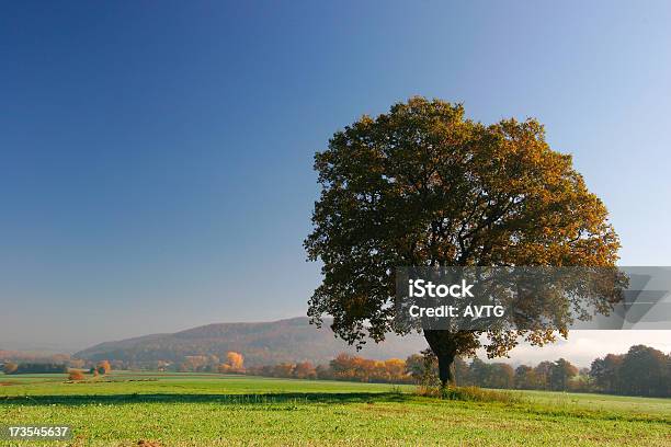 Jesień Krajobraz - zdjęcia stockowe i więcej obrazów Bezchmurne niebo - Bezchmurne niebo, Czerwony, Drzewo