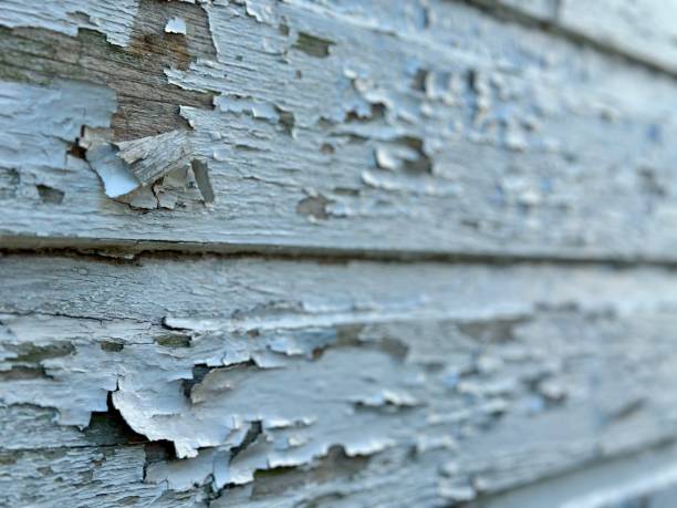 istock Flaking lead based paint - home renovation - lead abatement 1735459530