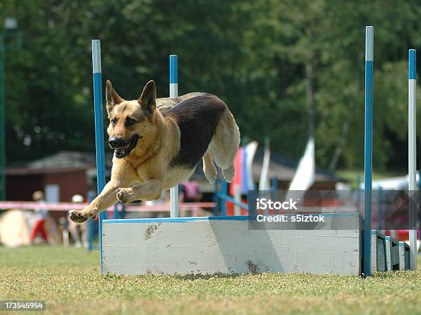 Long Jump Stock Photo - Download Image Now - German Culture, Germany, Activity