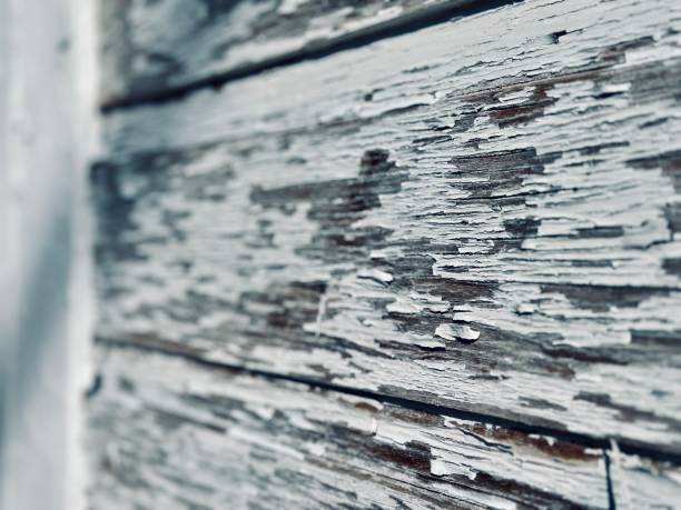 istock Flaking lead based paint - home renovation - lead abatement 1735459557