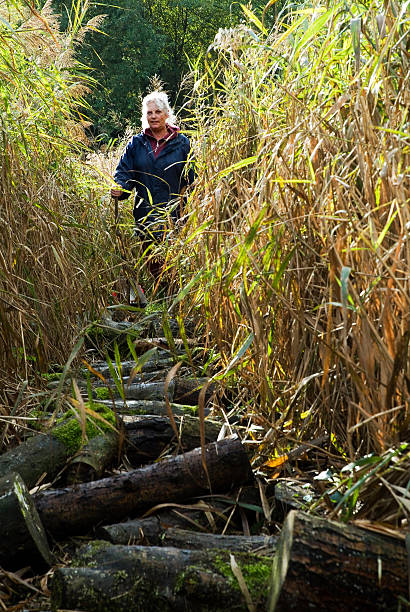 mulher entre reed e registos - handcarves nature sports and fitness people imagens e fotografias de stock