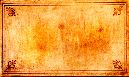 High resolution grunge background. The mucky leather cover of an old book, with an ornate border. Lots of detail close up.