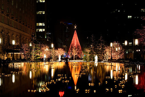 Christmas lights in a city with reflections on a pond.