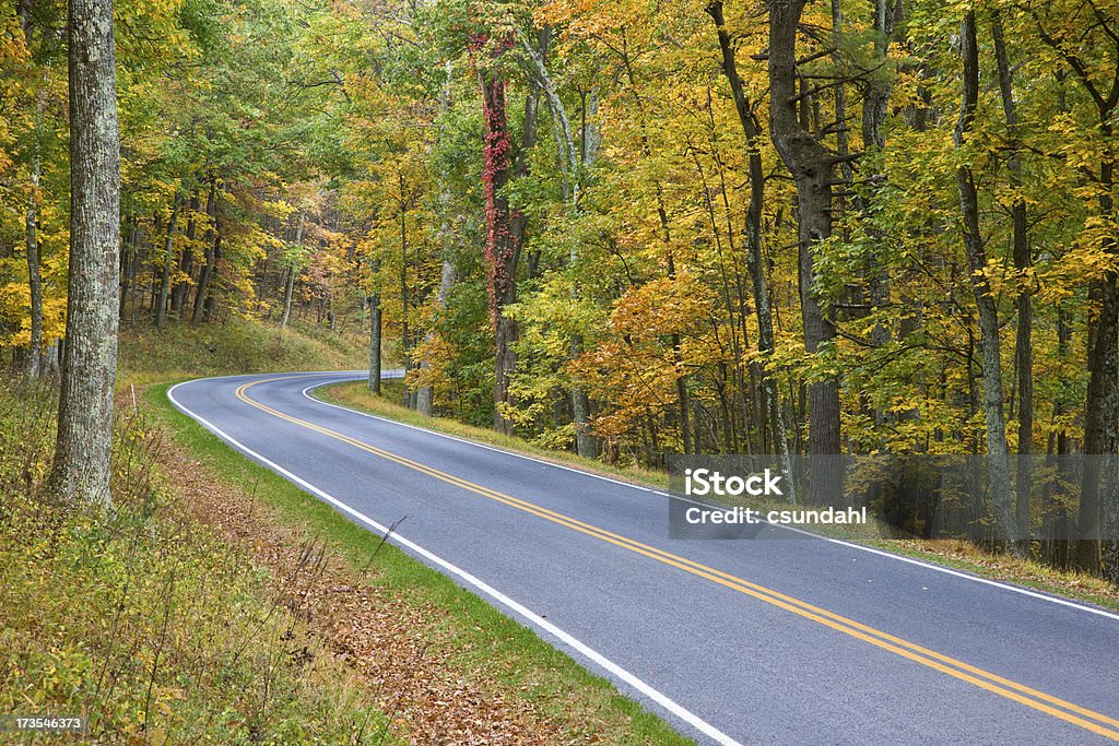 Route de campagne - Photo de Automne libre de droits