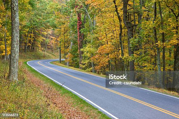 Photo libre de droit de Route De Campagne banque d'images et plus d'images libres de droit de Automne - Automne, Bois, Bord de route