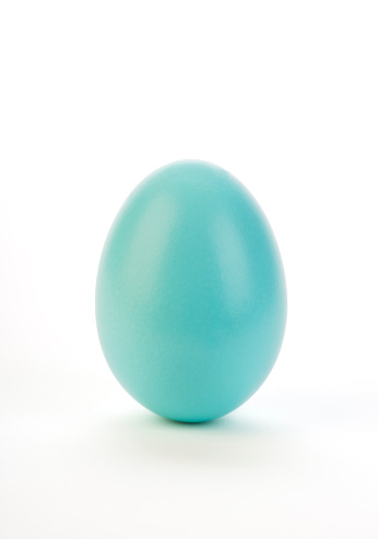 Egg colored robin's egg blue