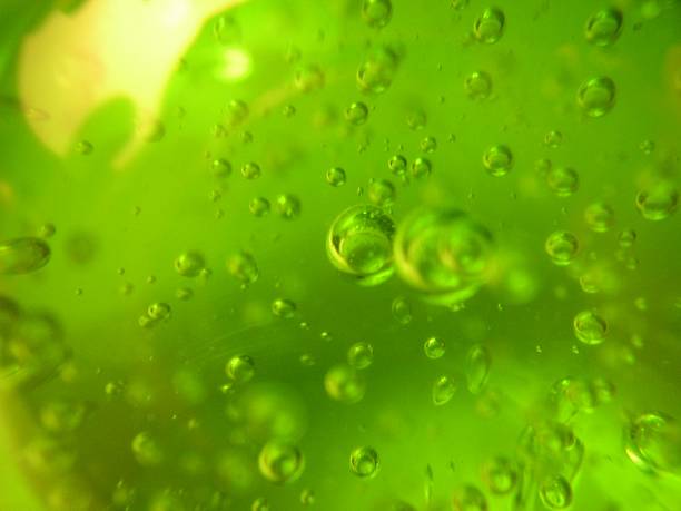 green bubbles Green bubbles in a green background. slimy stock pictures, royalty-free photos & images