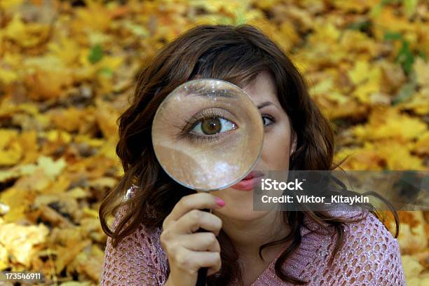 Foto de Outono Vista e mais fotos de stock de Brilhante - Luminosidade - Brilhante - Luminosidade, Lupa - Equipamento Ótico, Olho