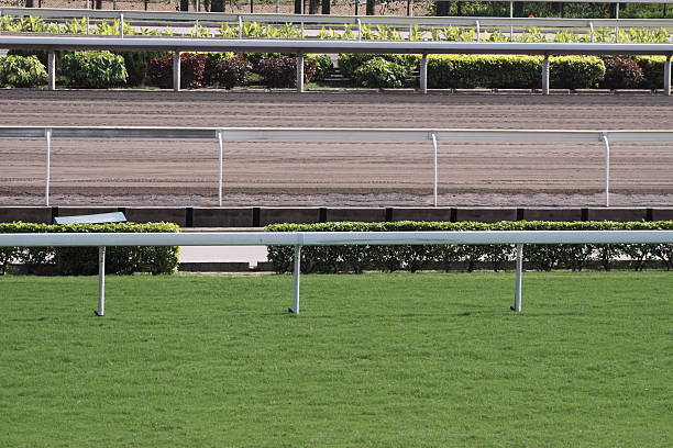 istock Horse Racing Track 173546998