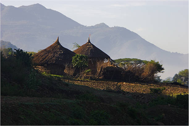 istock Landscape with huts in Ethiopia 173547126