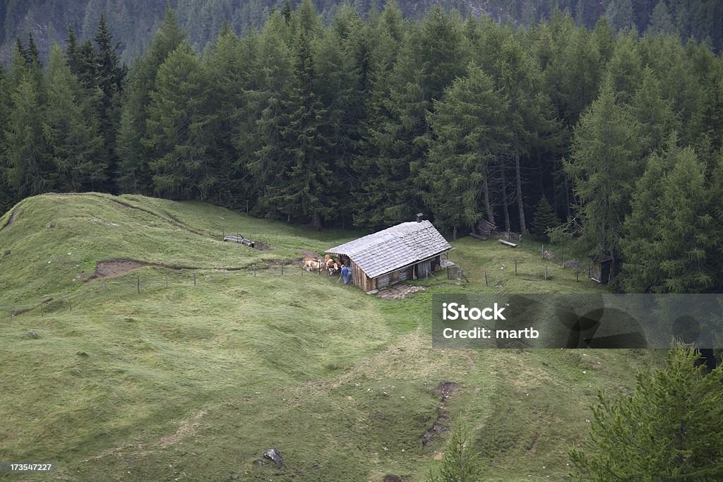 Alpine hut en el bosque de compensación - Foto de stock de Agricultura libre de derechos