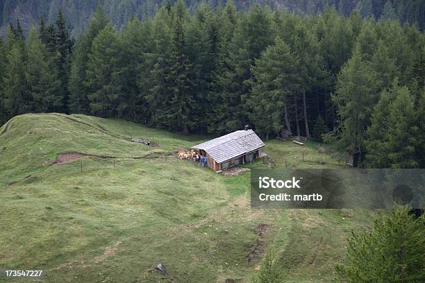 Alpine Hut En El Bosque De Compensación Foto de stock y más banco de imágenes de Agricultura - Agricultura, Alpes Europeos, Animal