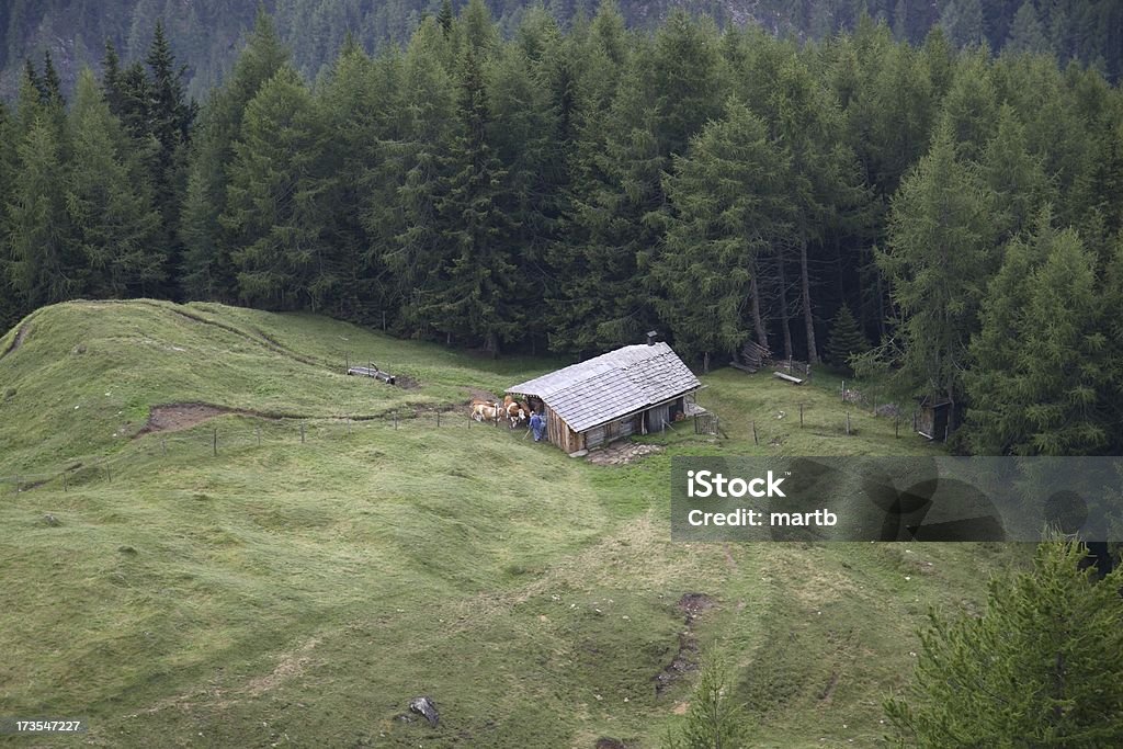 Alpine cabana na floresta de limpeza - Foto de stock de Agricultura royalty-free