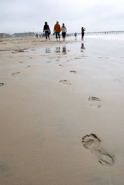 footprints bord de la mer - perfect day photos et images de collection