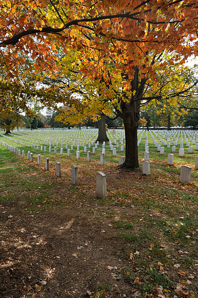 istock Autumn at Arlington National Cemetery Vertical 173547698