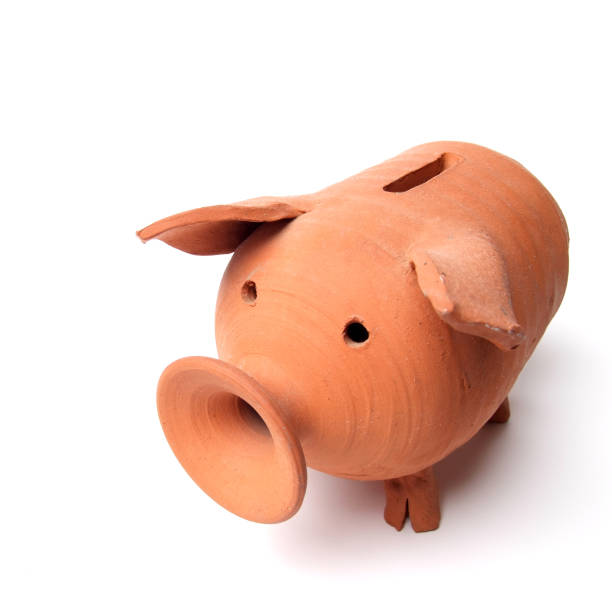 istock Piggy Bank 173548185