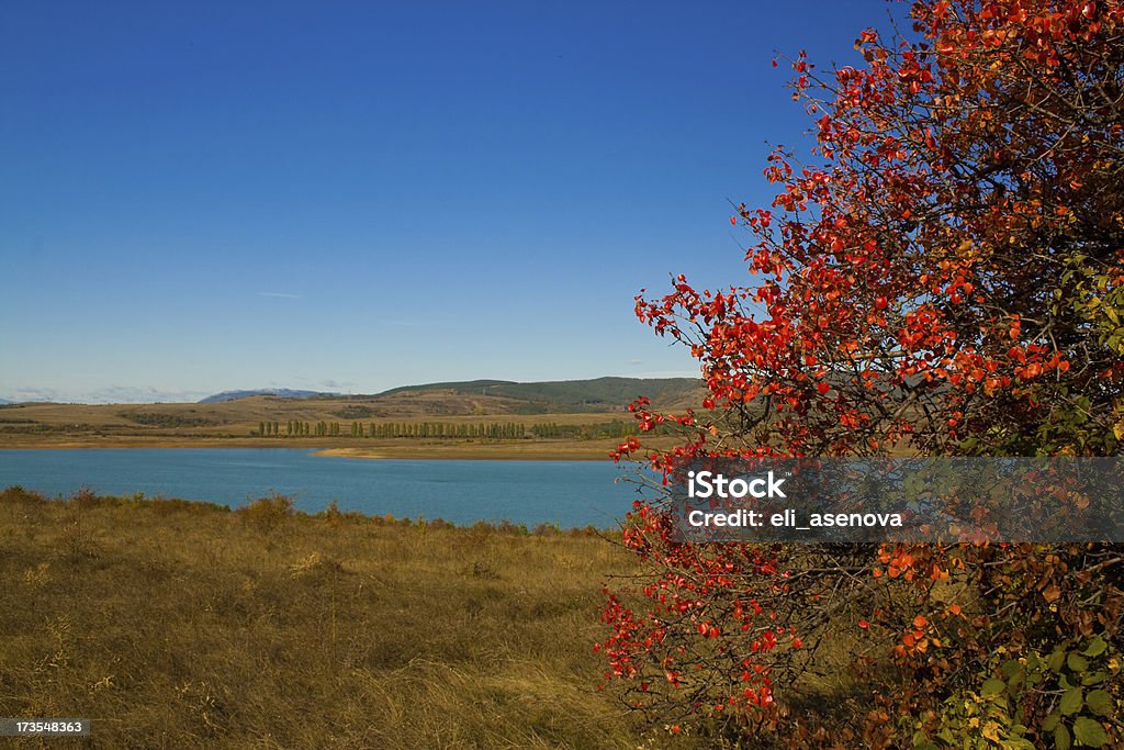 Autunno panoramica - Foto stock royalty-free di Acqua